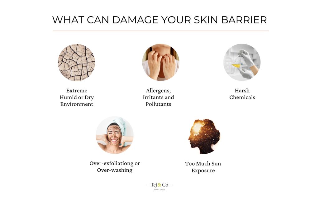 November 25 BLOG Images 2